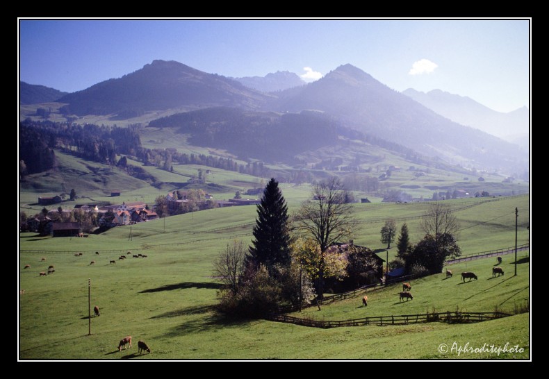 16 Typische Landschaft